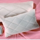 Organic Camel Hair Down Pillows - Quilted Sateen Covers